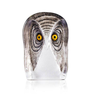 Owl - Large